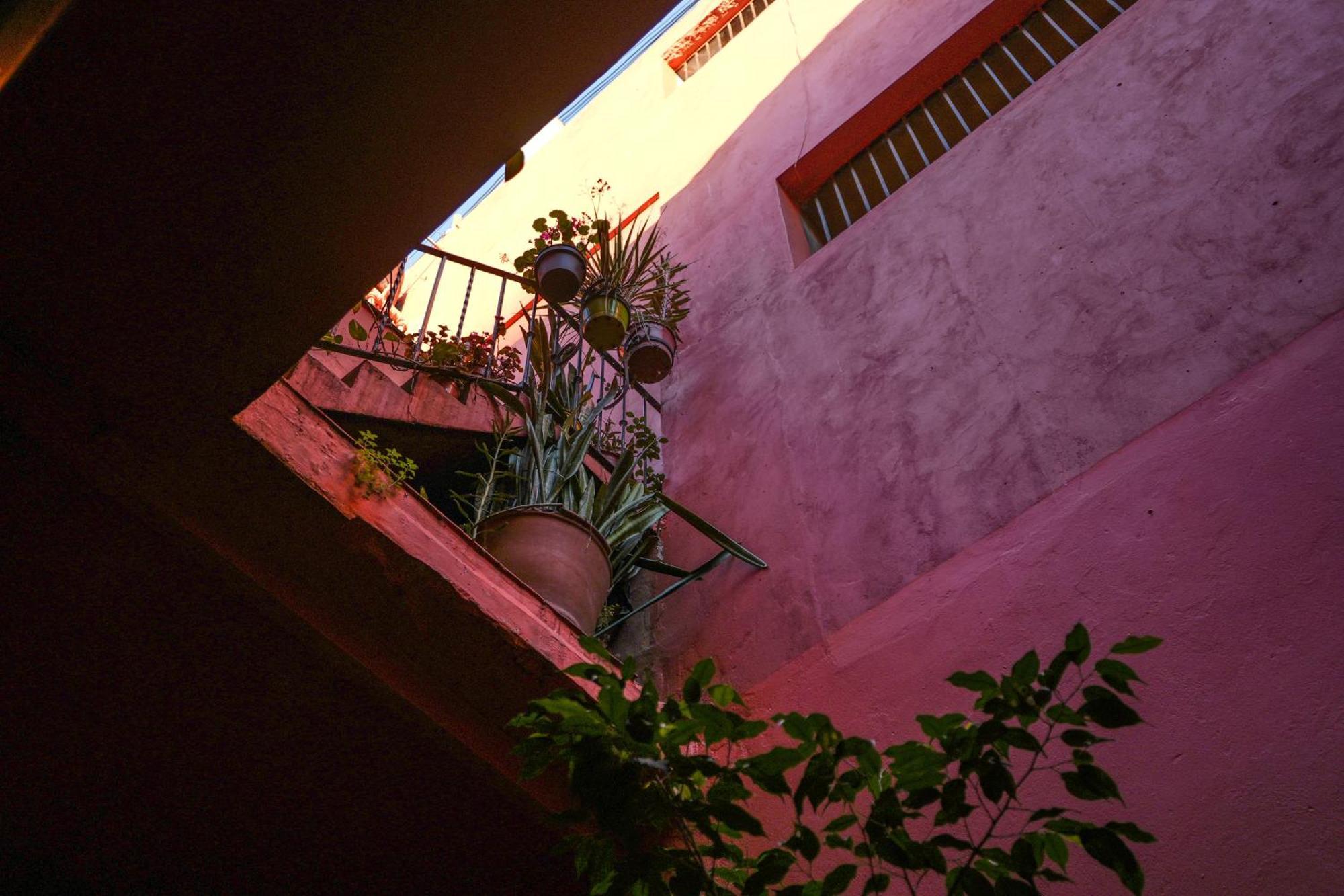 بوينس آيرس Viavia Bsas Guesthouse 324 المظهر الخارجي الصورة
